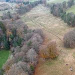 A planting record for Roamers